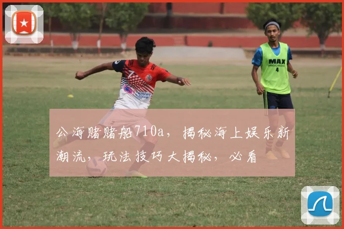 公海赌赌船710a，揭秘海上娱乐新潮流，玩法技巧大揭秘，必看