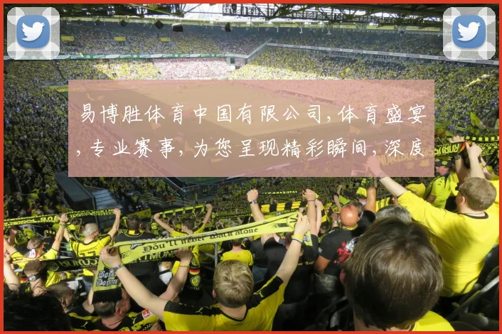 易博胜体育中国有限公司,体育盛宴,专业赛事,为您呈现精彩瞬间,深度解析,助力胜局
