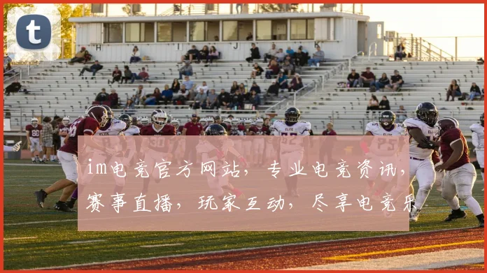 im电竞官方网站，专业电竞资讯，赛事直播，玩家互动，尽享电竞乐趣，三重福利等你来拿，不容错过